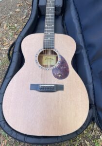 acoustic guitar in a gig bag